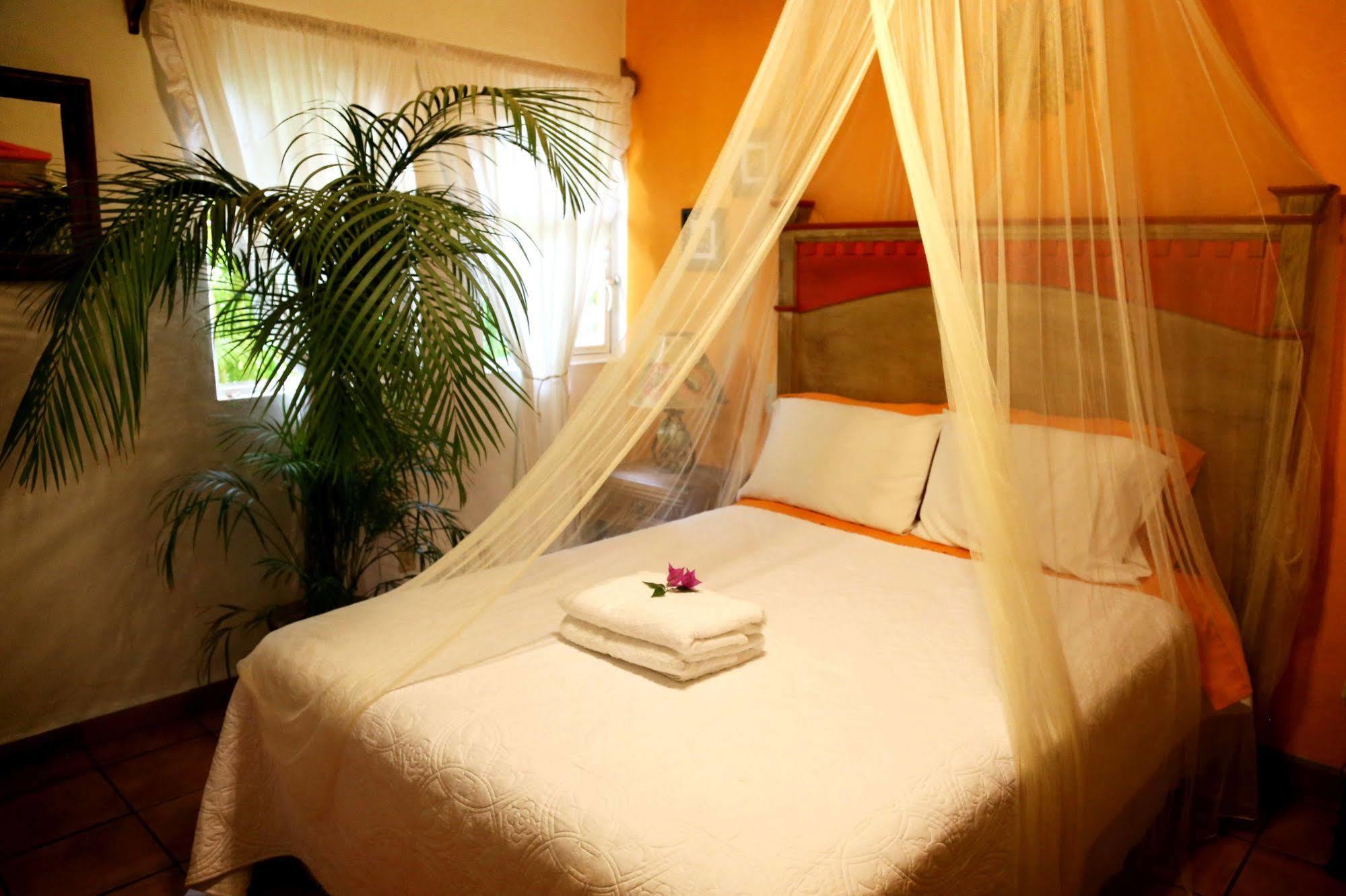 The Mexican Inn 卡波圣卢卡斯 外观 照片
