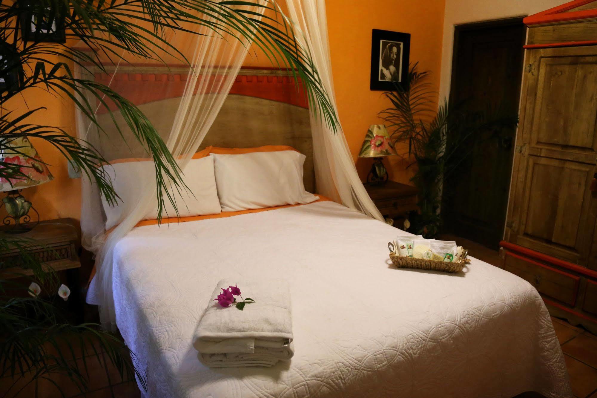 The Mexican Inn 卡波圣卢卡斯 外观 照片