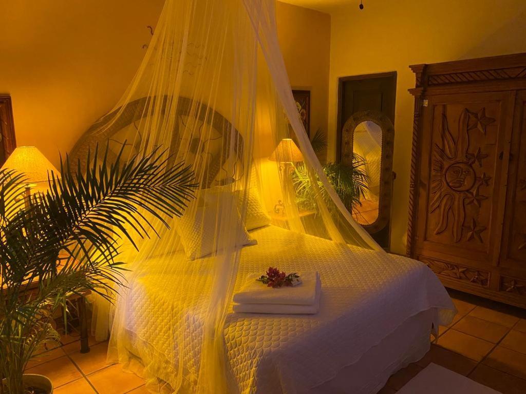 The Mexican Inn 卡波圣卢卡斯 外观 照片