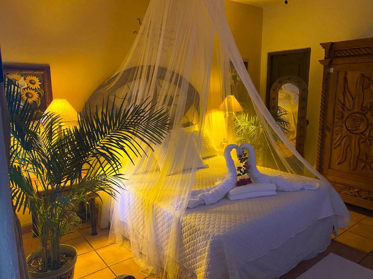 The Mexican Inn 卡波圣卢卡斯 外观 照片
